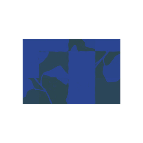 Abstract Blue Botanical Fine Art Poster